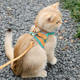 Cat Leash Collar