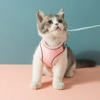 Cat Leash Collar