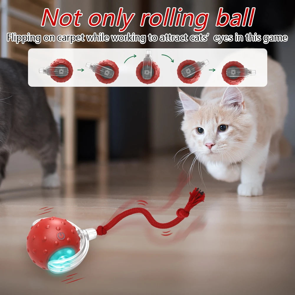 Cat Ball Teaser