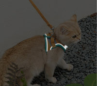 Cat Leash Collar