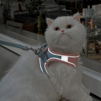 Cat Leash Collar