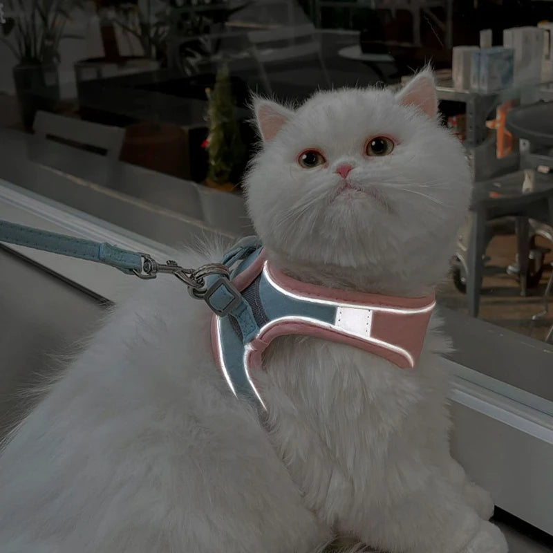 Cat Leash Collar