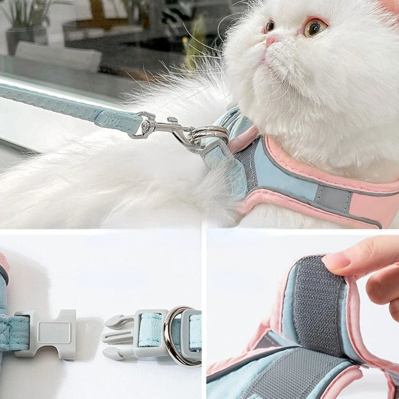 Cat Leash Collar