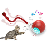 Cat Ball Teaser